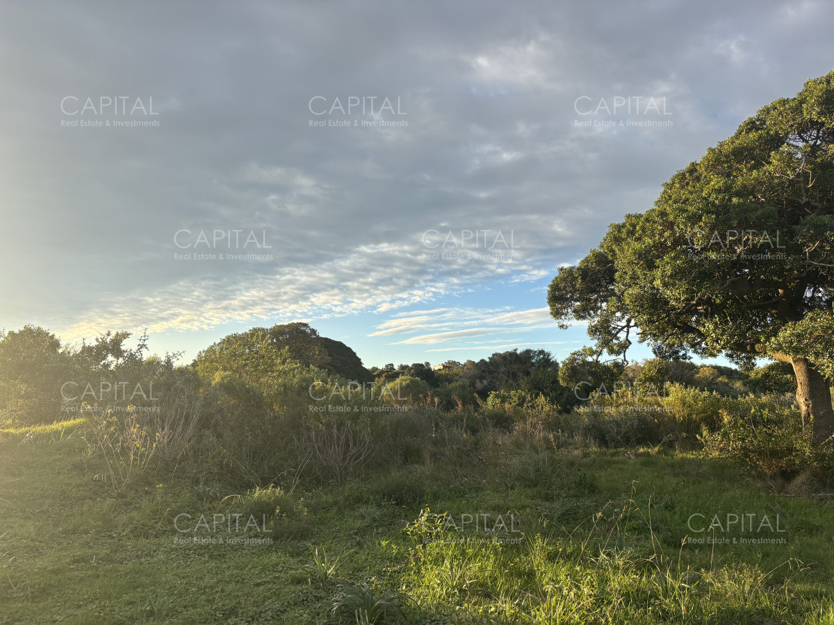 Chacra ID.38873 - Chacra de 7 has. en Venta en José Ignacio