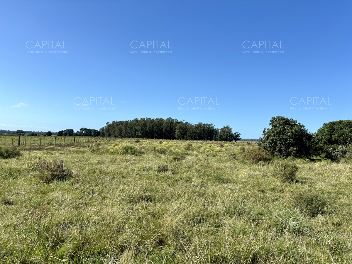 Chacra ID.38725 - Chacra de 6.6 has en Camino Medellin