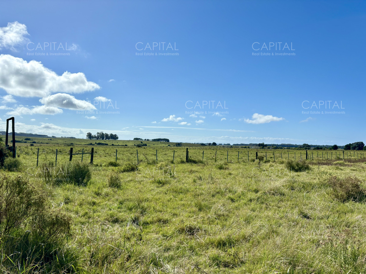 Chacra ID.38725 - Chacra de 6.6 has en Camino Medellin