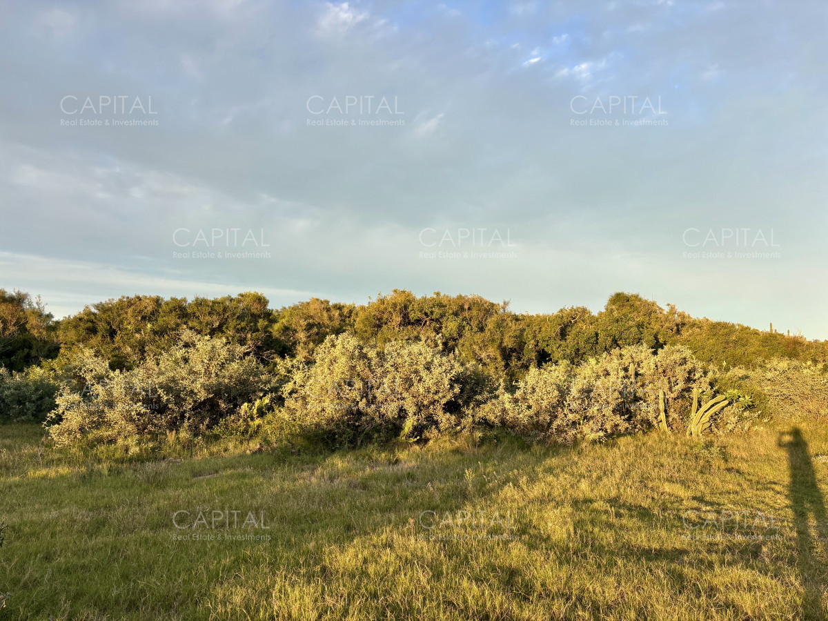 Chacra ID.38873 - Chacra de 7 has. en Venta en José Ignacio