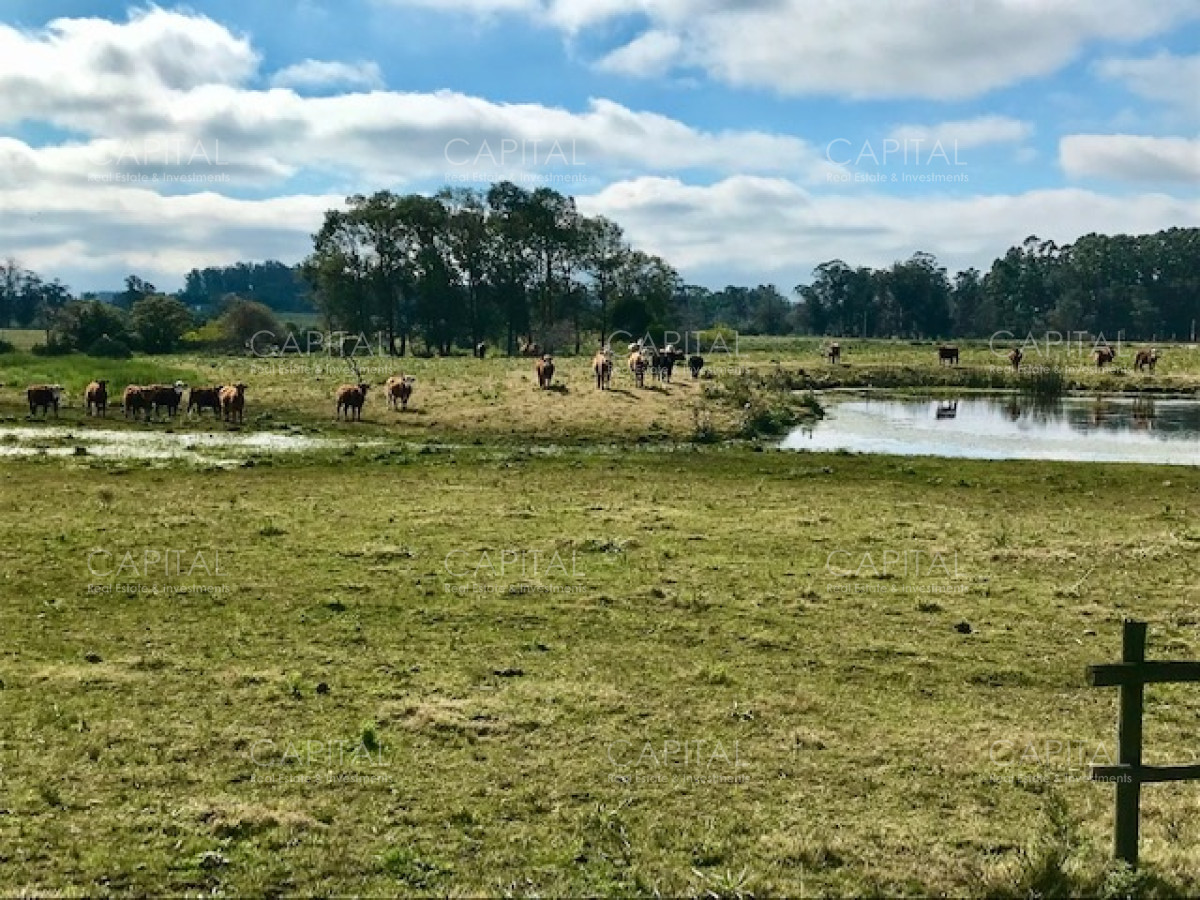 Chacra ID.38724 - Chacra en venta de 5 hectáreas - Camino Medellin 