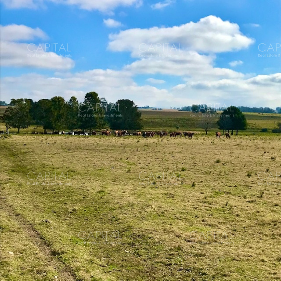 Chacra ID.38724 - Chacra en venta de 5 hectáreas - Camino Medellin 