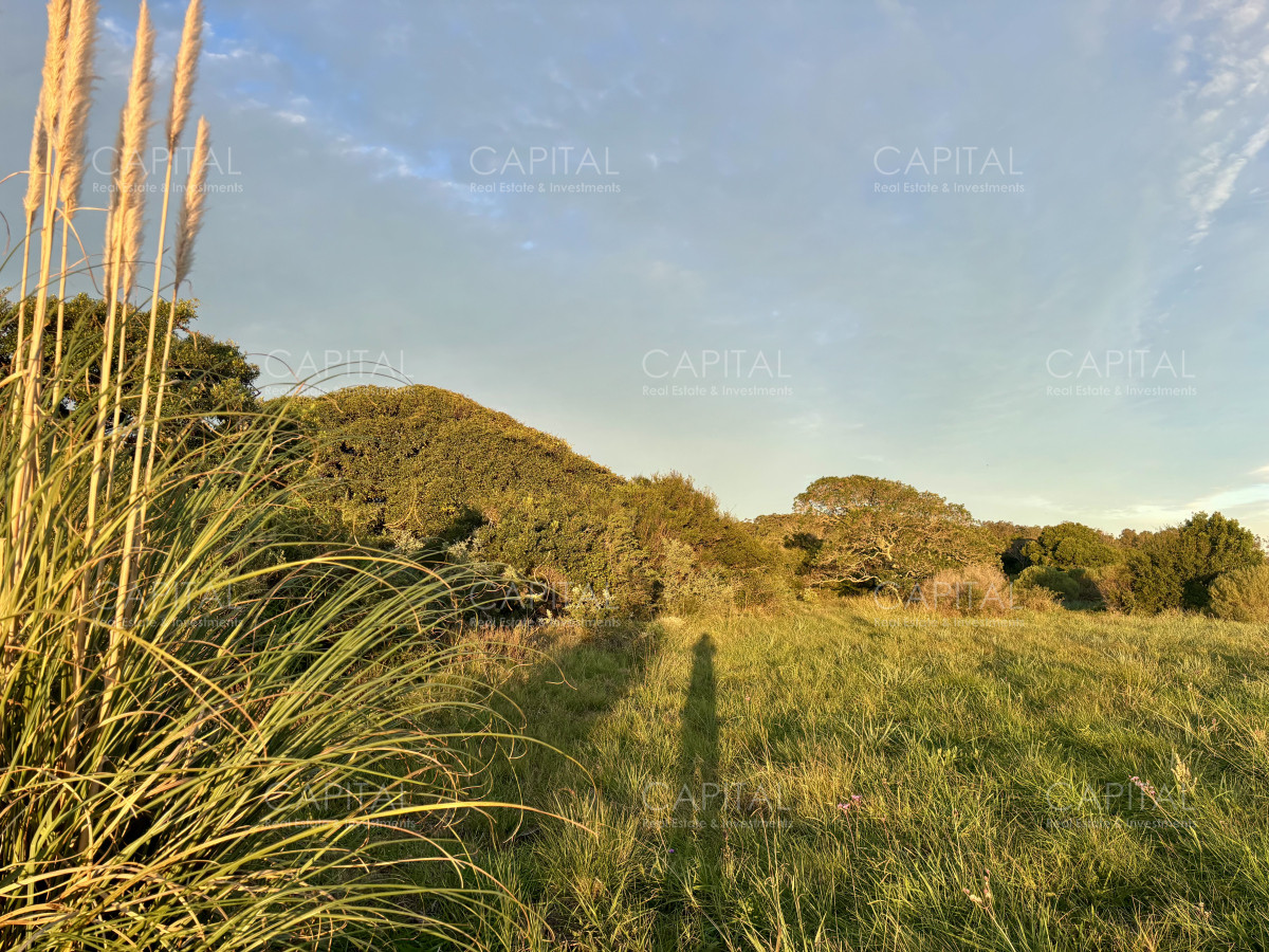 Chacra ID.38873 - Chacra de 7 has. en Venta en José Ignacio