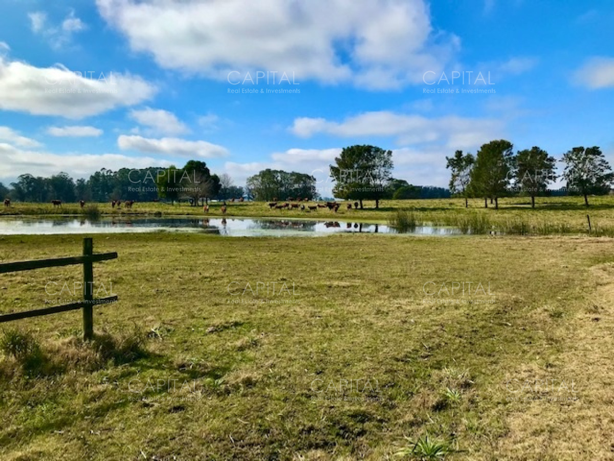 Chacra ID.38724 - Chacra en venta de 5 hectáreas - Camino Medellin 