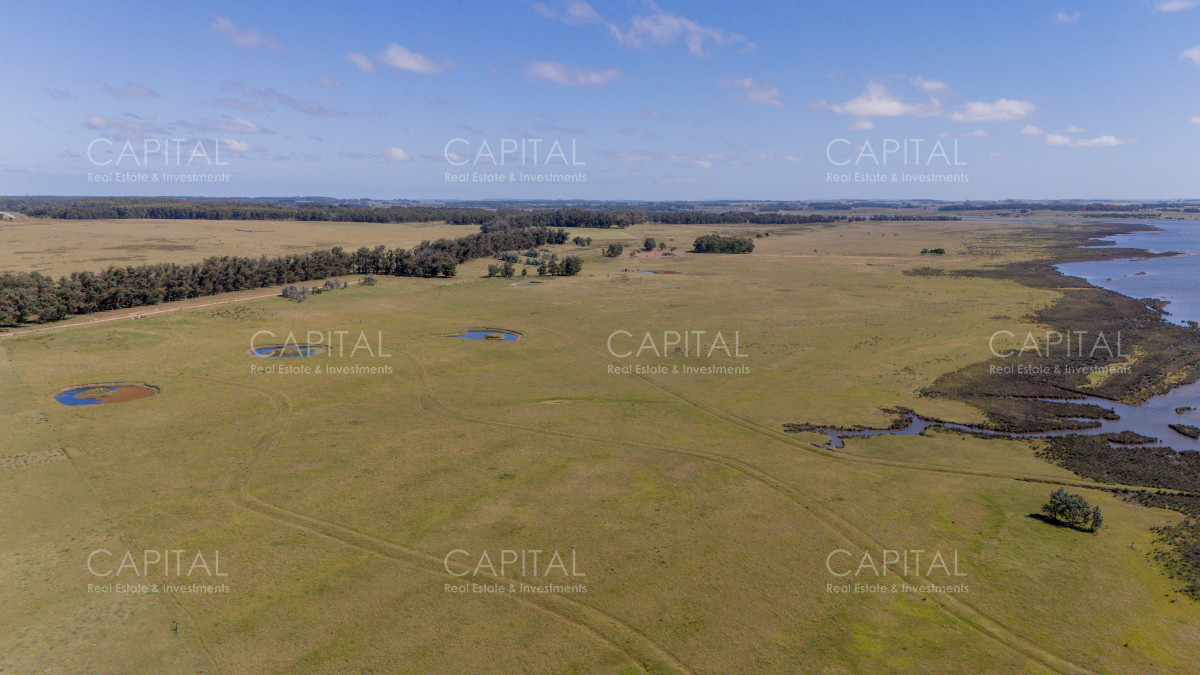 Chacra ID.39096 - Chacra de 5 has. en venta en Jose Ignacio, con costa de laguna 