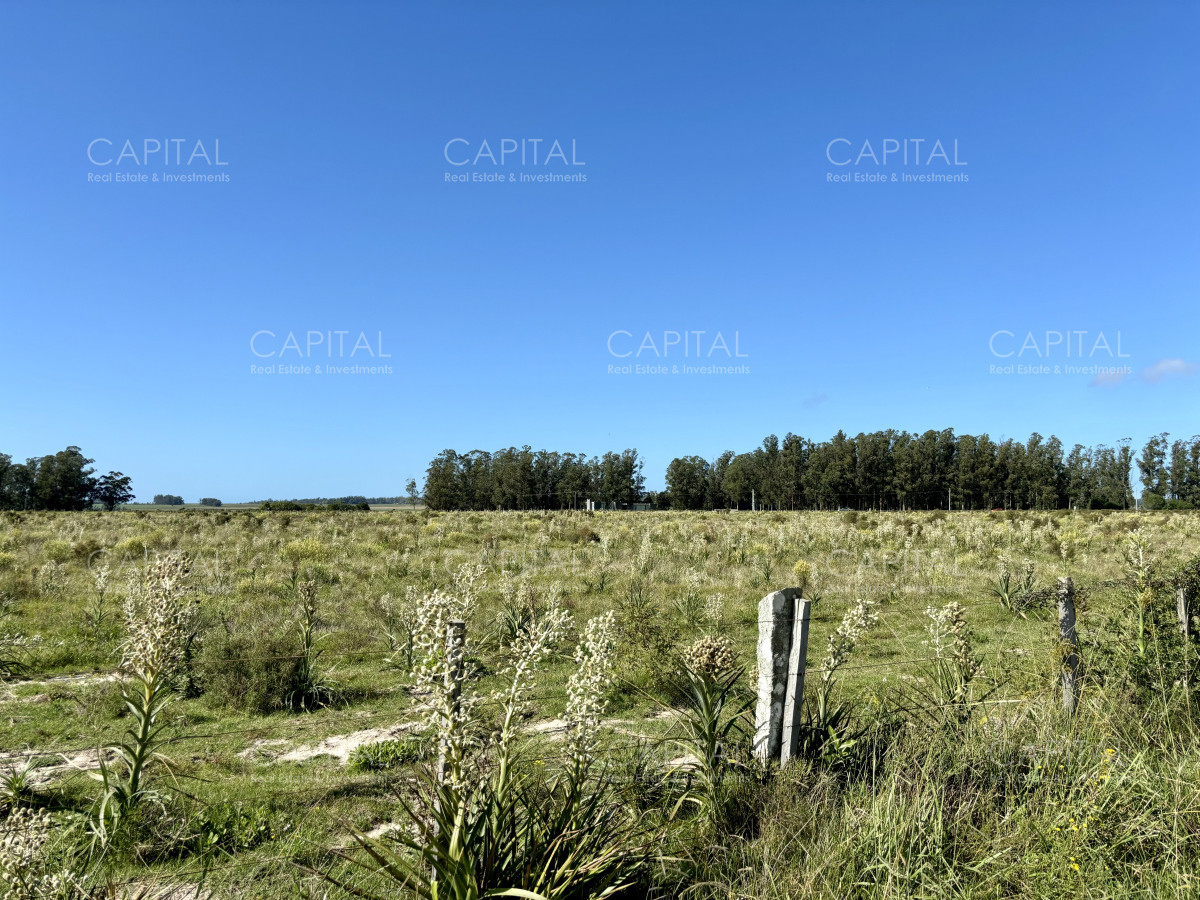 Chacra ID.38725 - Chacra de 6.6 has en Camino Medellin