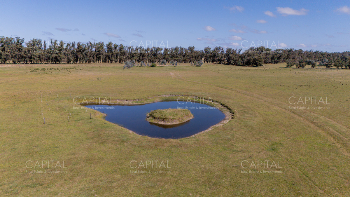 Chacra ID.39096 - Chacra de 5 has. en venta en Jose Ignacio, con costa de laguna 