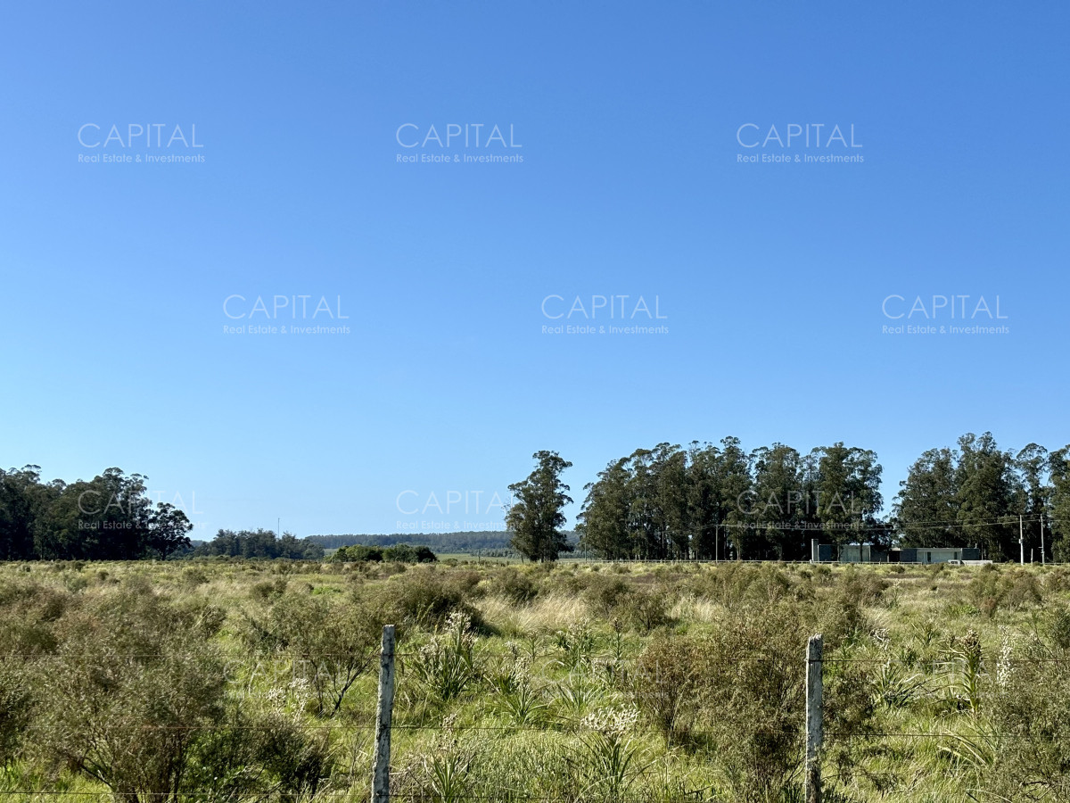 Chacra ID.38725 - Chacra de 6.6 has en Camino Medellin