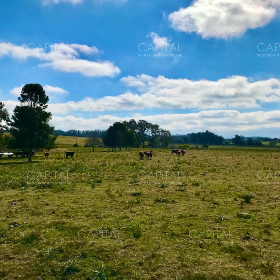 Chacra ID.38724 - Chacra en venta de 5 hectáreas - Camino Medellin 