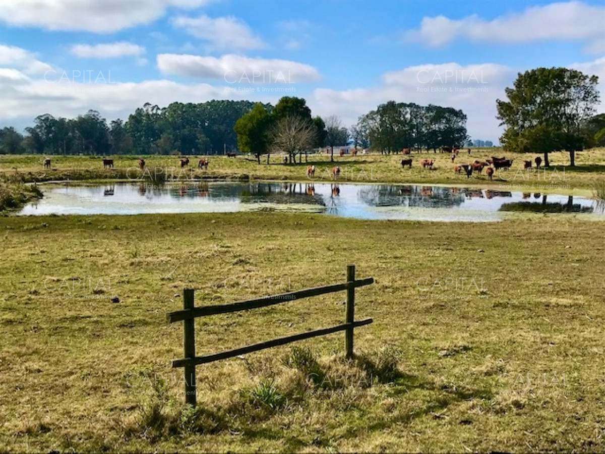 Chacra ID.38724 - Chacra en venta de 5 hectáreas - Camino Medellin 