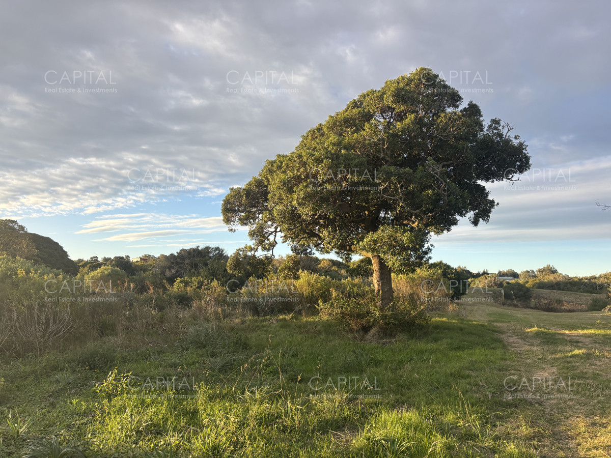 Chacra ID.38873 - Chacra de 7 has. en Venta en José Ignacio