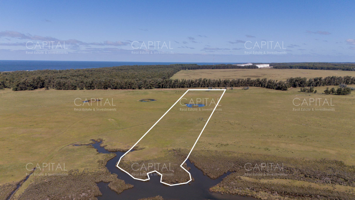 Chacra ID.39096 - Chacra de 5 has. en venta en Jose Ignacio, con costa de laguna 