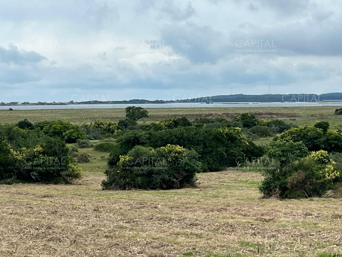 Chacra ID.38873 - Chacra de 7 has. en Venta en José Ignacio