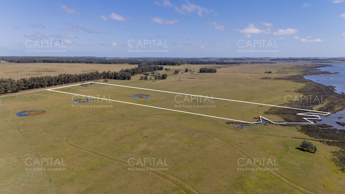 Chacra ID.39096 - Chacra de 5 has. en venta en Jose Ignacio, con costa de laguna 