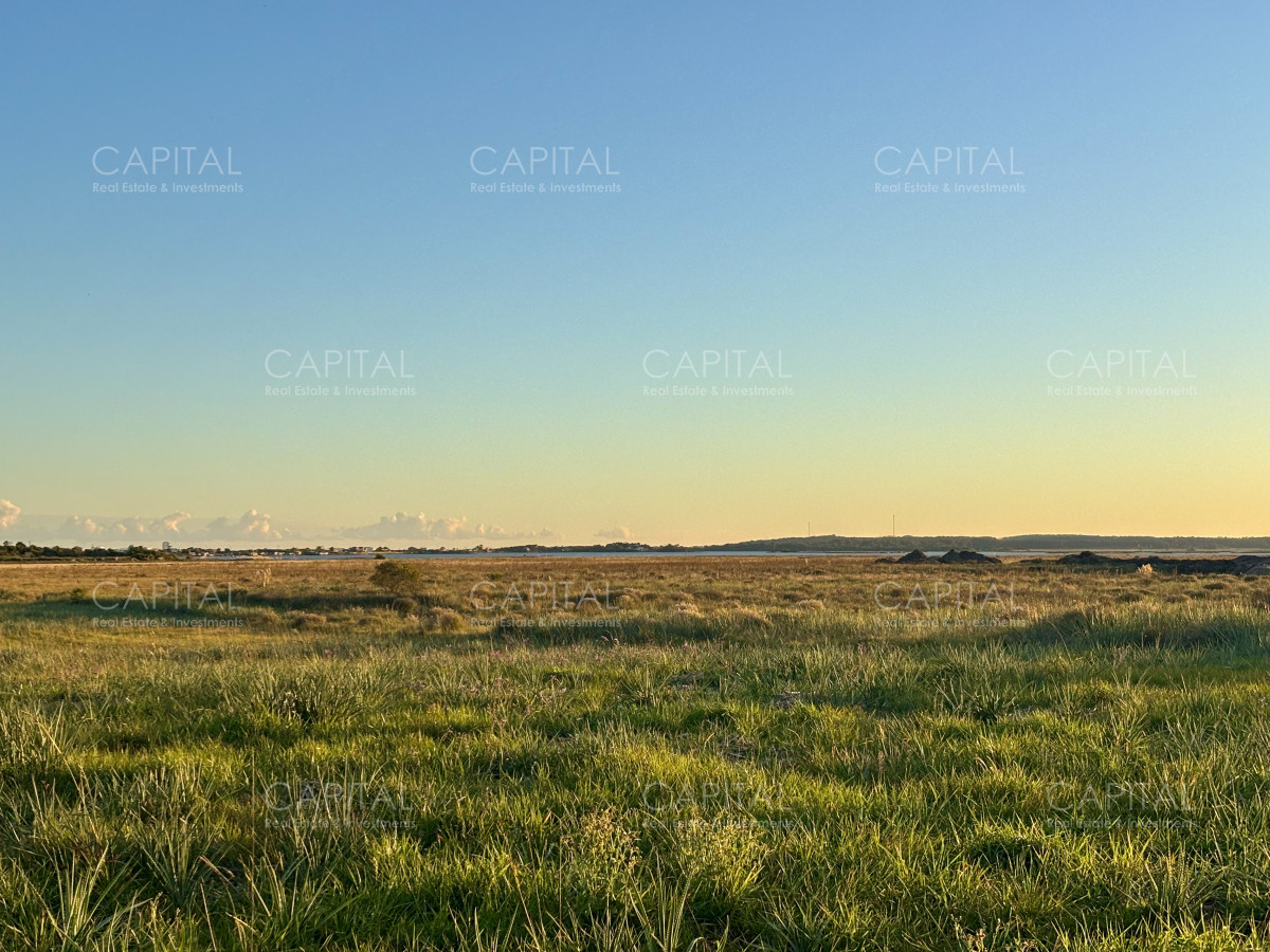 Chacra ID.38873 - Chacra de 7 has. en Venta en José Ignacio