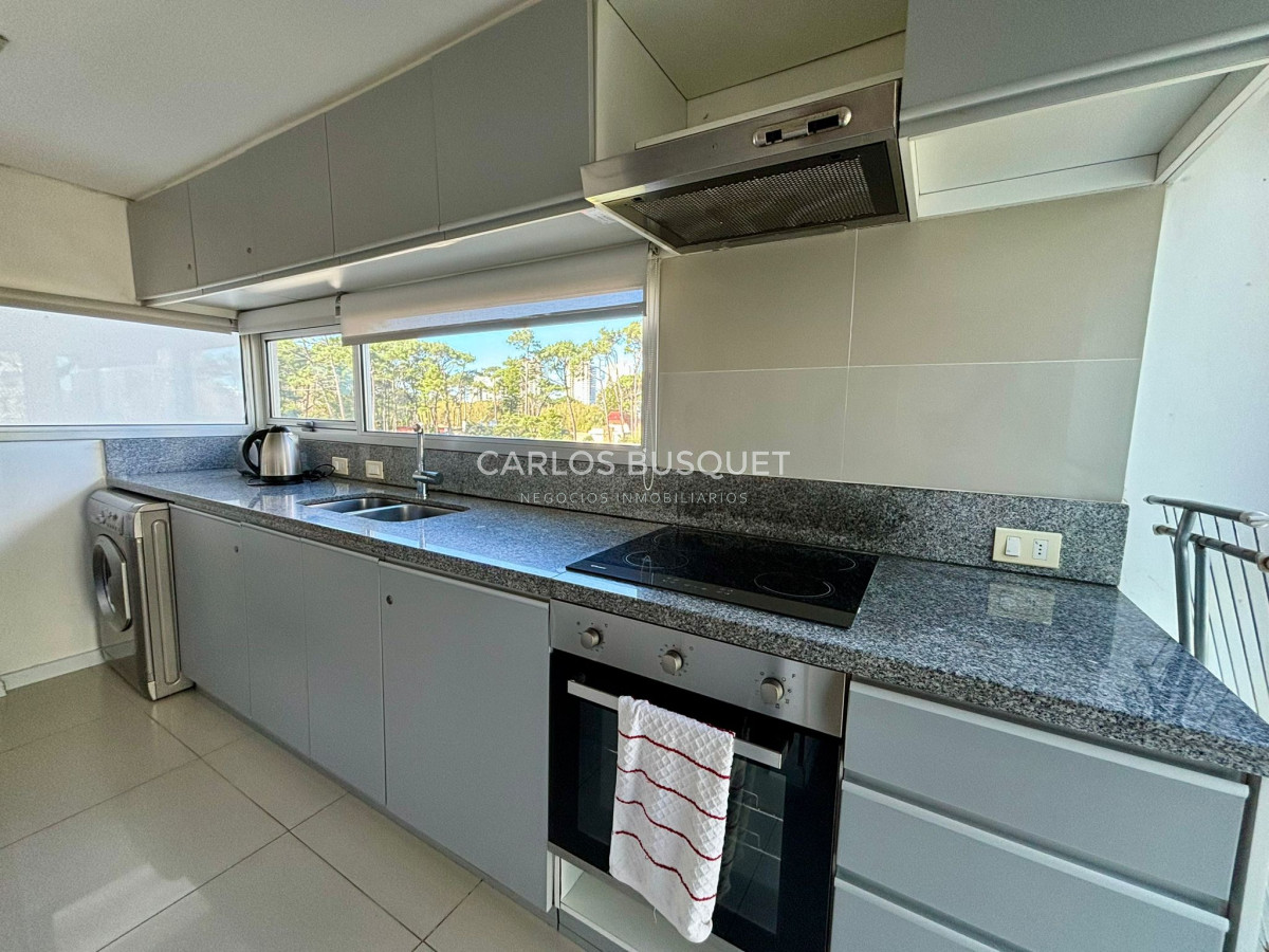Apartamento ID.550 - Apartamento en alquiler invernal, de 3 dormitorios, en Roosevelt