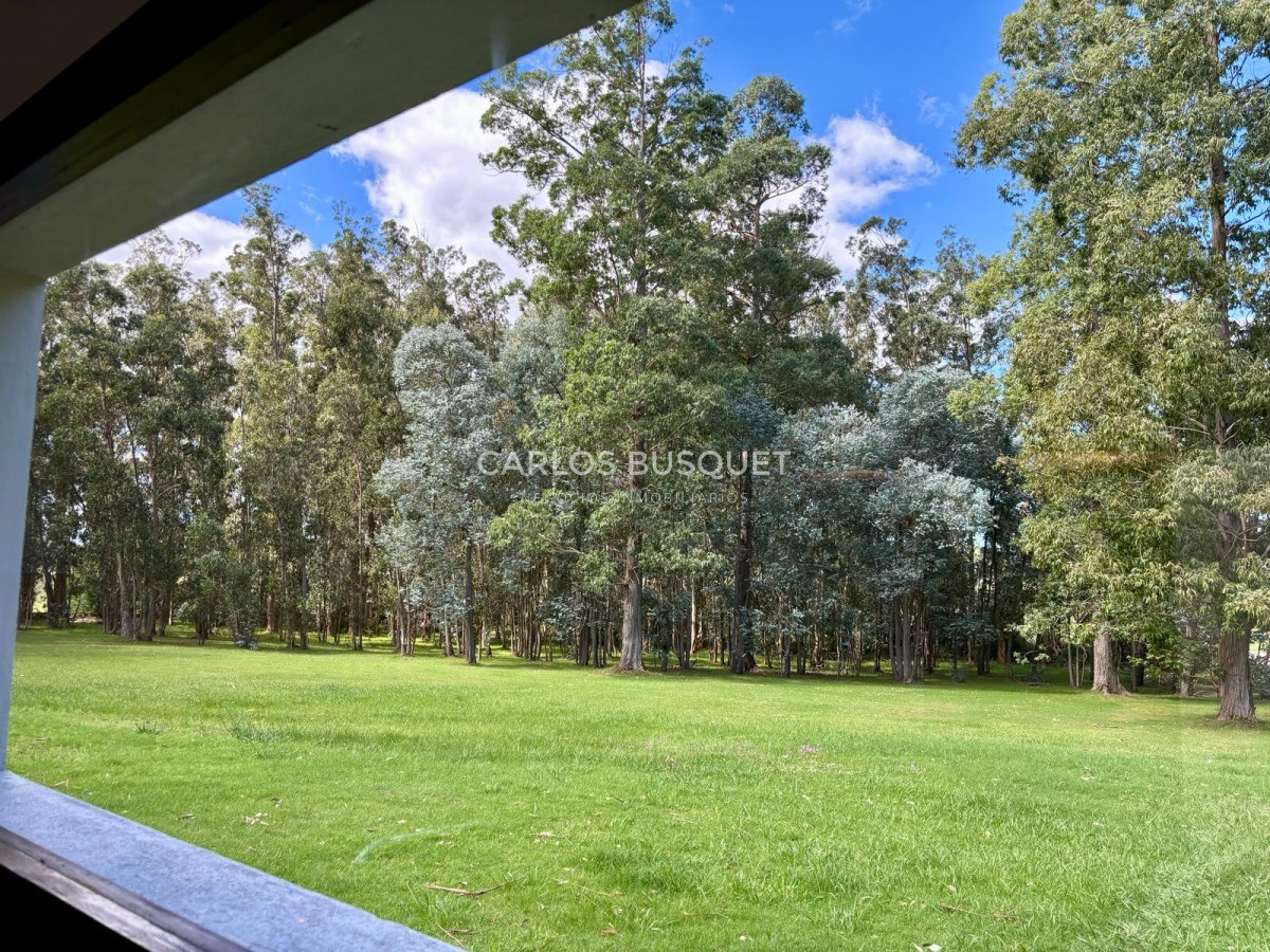 Casa ID.516 - Casa en venta de 2 dormitorios en Punta Ballena