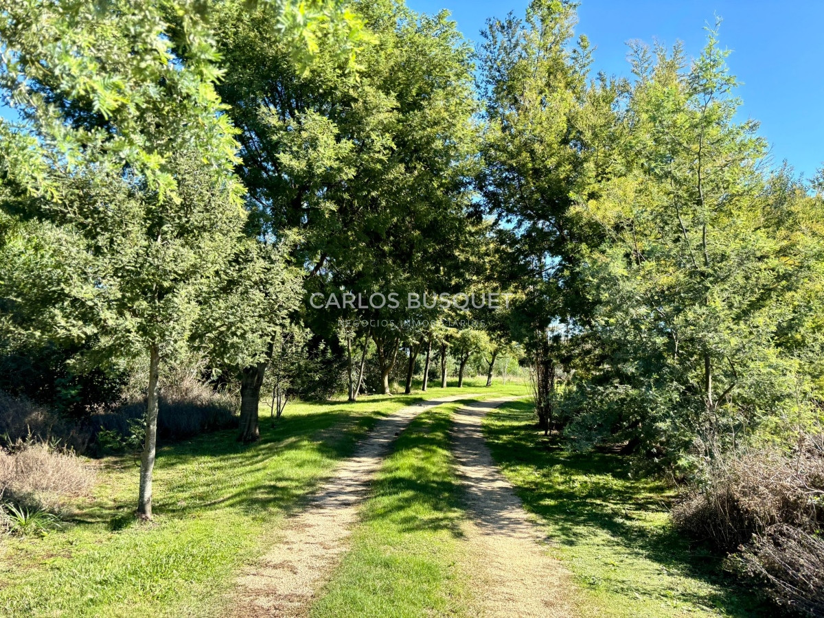 Casa ID.419 - Chacra en venta con casa de 4 dormitorios, en Camino Medellin, sobre el arroyo! 