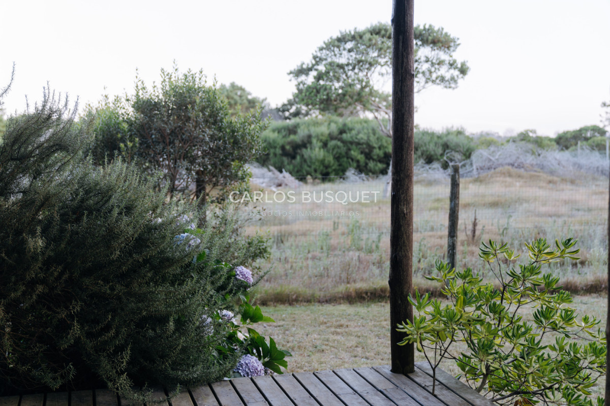 Casa ID.1401 - Casa en alquiler temporal de 4 dormitorios en Jose Ignacio