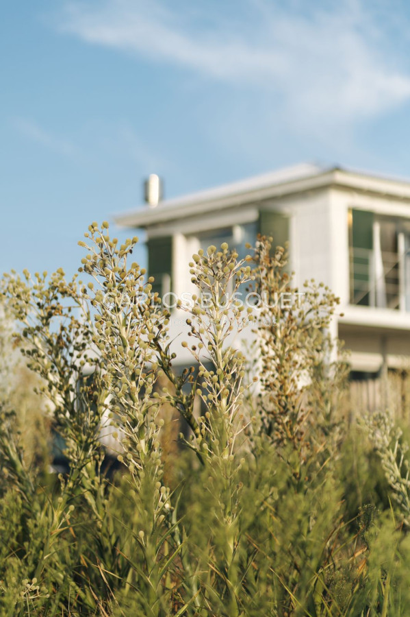 Casa ID.1200 - Casa en alquiler temporal, de 3 dormitorios, en Jose Ignacio, Santa Mónica