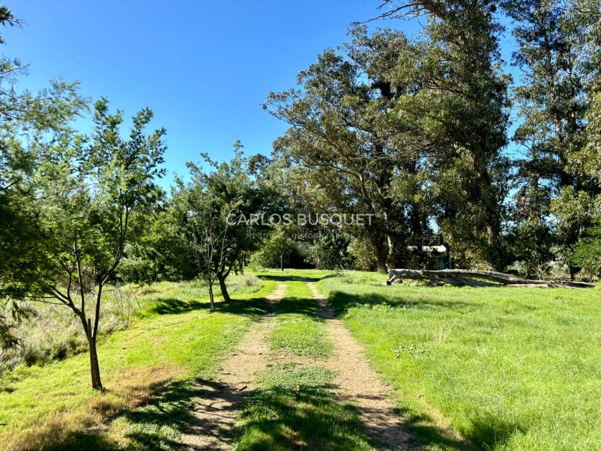 Casa ID.419 - Chacra en venta con casa de 4 dormitorios, en Camino Medellin, sobre el arroyo! 