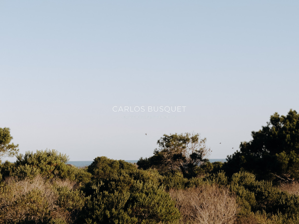Casa ID.1401 - Casa en alquiler temporal de 4 dormitorios en Jose Ignacio