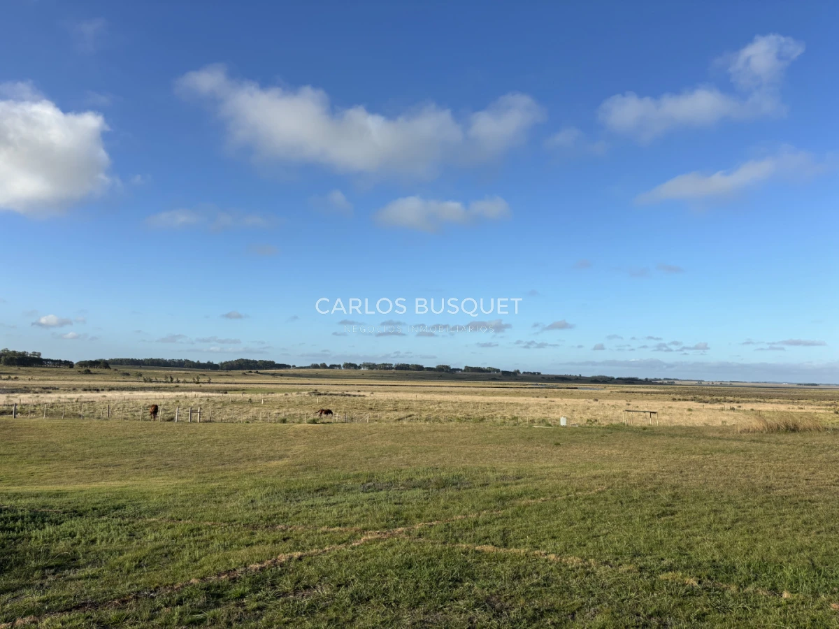 Casa ID.1296 - Chacra en alquiler temporal de 5 dormitorios, en Camino Medellin