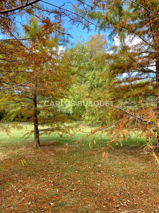 Casa ID.1317 - Espectacular casa estilo chacra en la barra en alquiler temporal 5 dormitorios