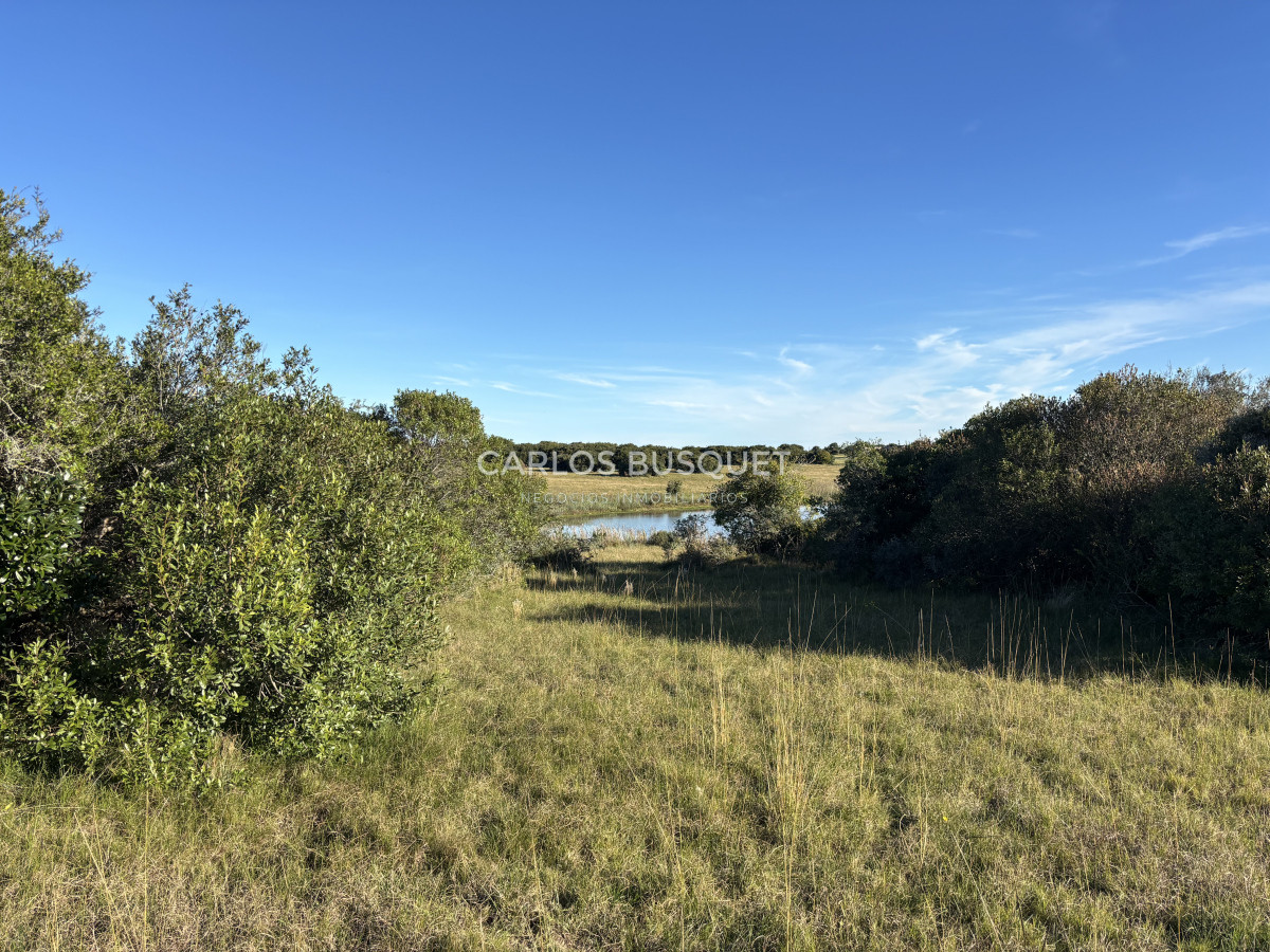 Chacra ID.1128 - Chacra de 5 has. en Jose Ignacio, Las Coronillas 