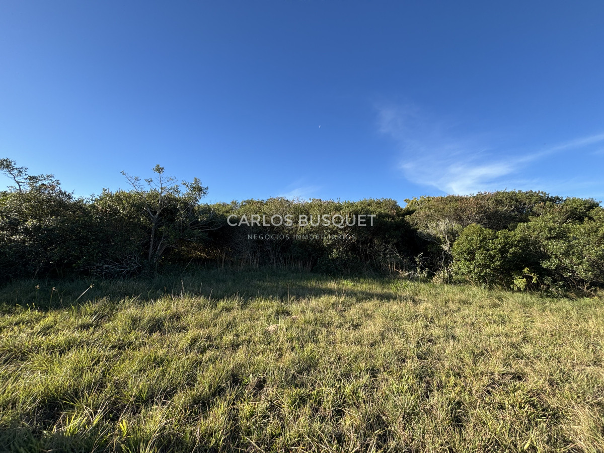 Chacra ID.1128 - Chacra de 5 has. en Jose Ignacio, Las Coronillas 