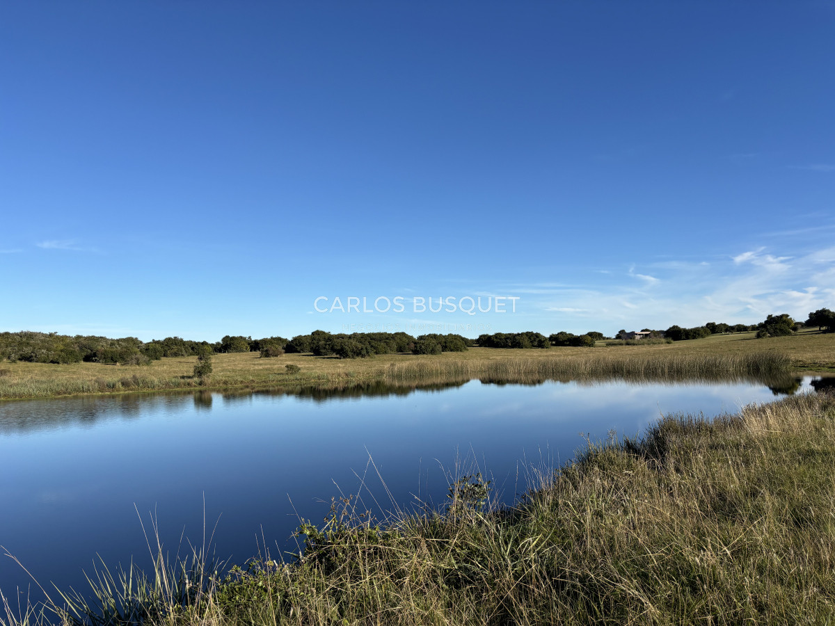 Chacra ID.1128 - Chacra de 5 has. en Jose Ignacio, Las Coronillas 