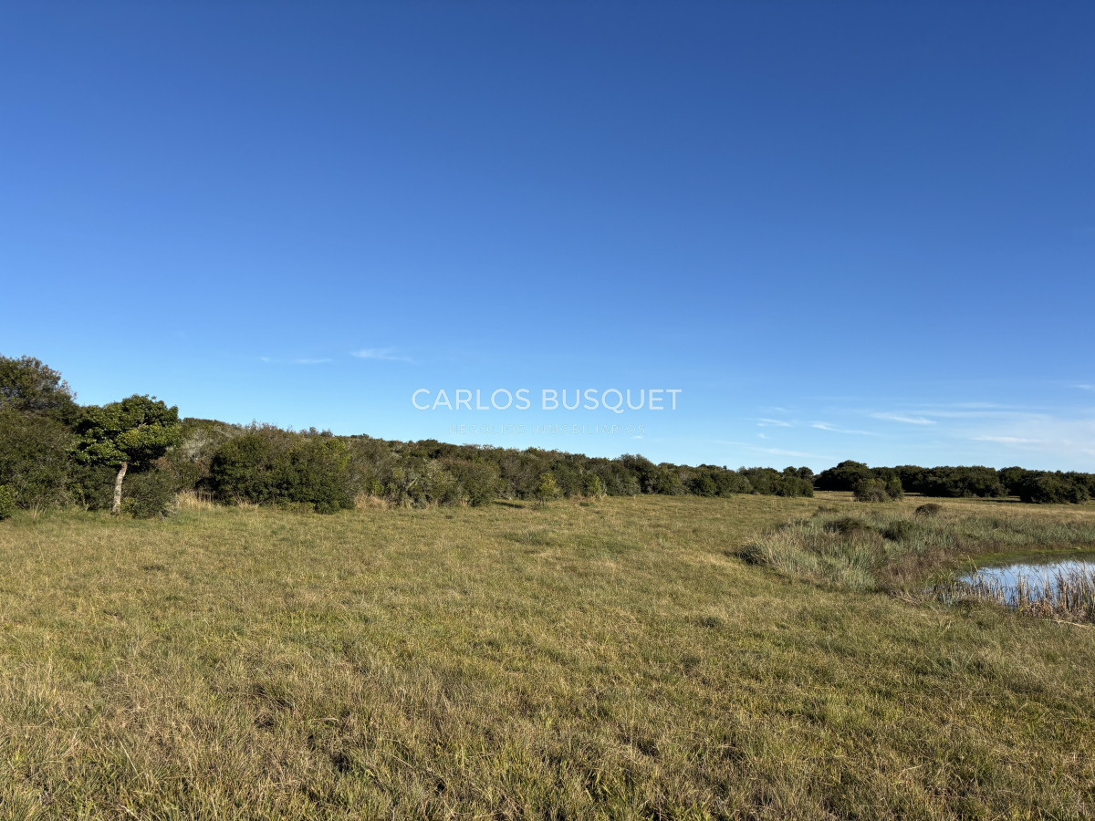 Chacra ID.1128 - Chacra de 5 has. en Jose Ignacio, Las Coronillas 