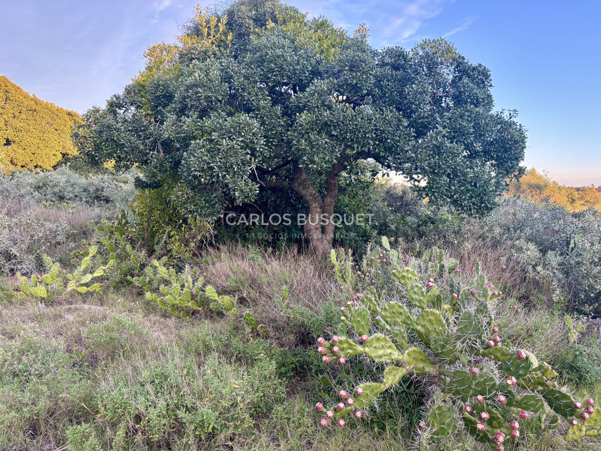 Chacra ID.1355 - Chacra de 13.8 has. en venta en Zona Chacras de Medellín