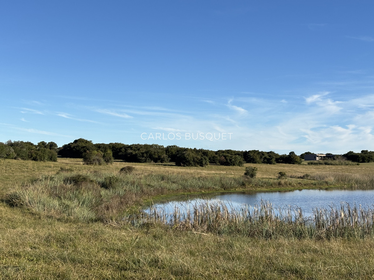 Chacra ID.1128 - Chacra de 5 has. en Jose Ignacio, Las Coronillas 