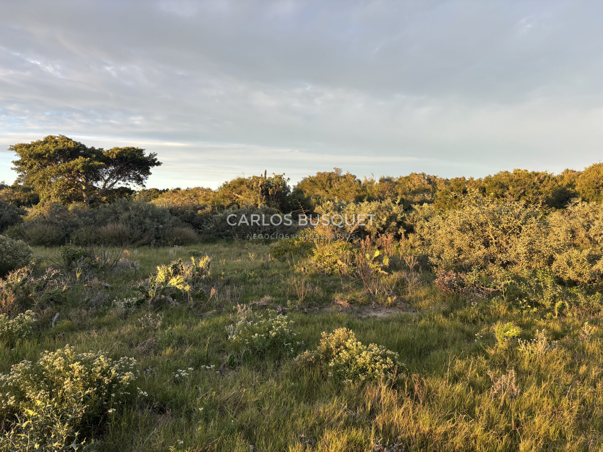 Chacra ID.1355 - Chacra de 13.8 has. en venta en Zona Chacras de Medellín