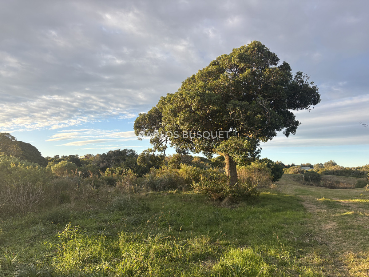 Chacra ID.1355 - Chacra de 13.8 has. en venta en Zona Chacras de Medellín