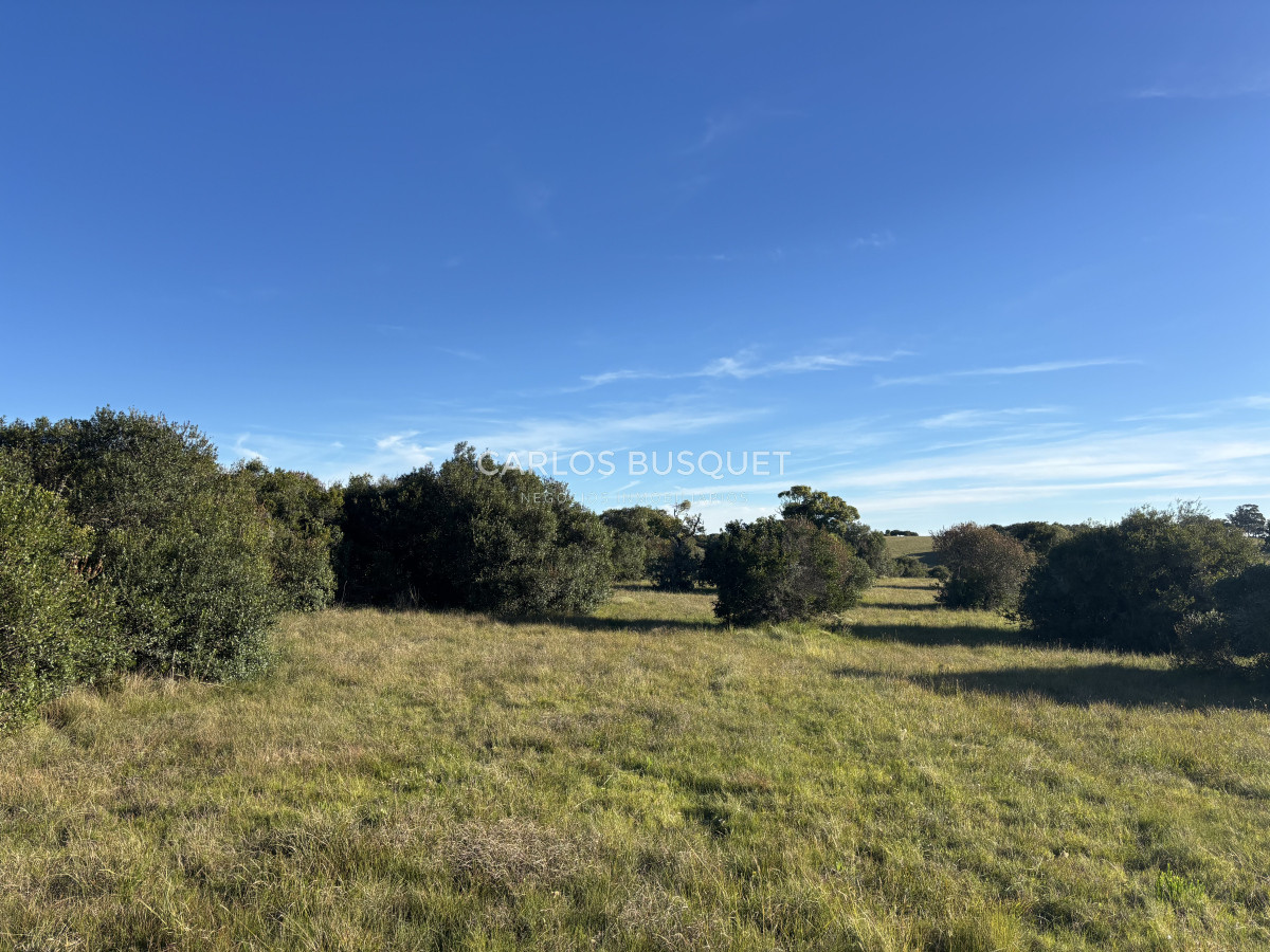 Chacra ID.1128 - Chacra de 5 has. en Jose Ignacio, Las Coronillas 