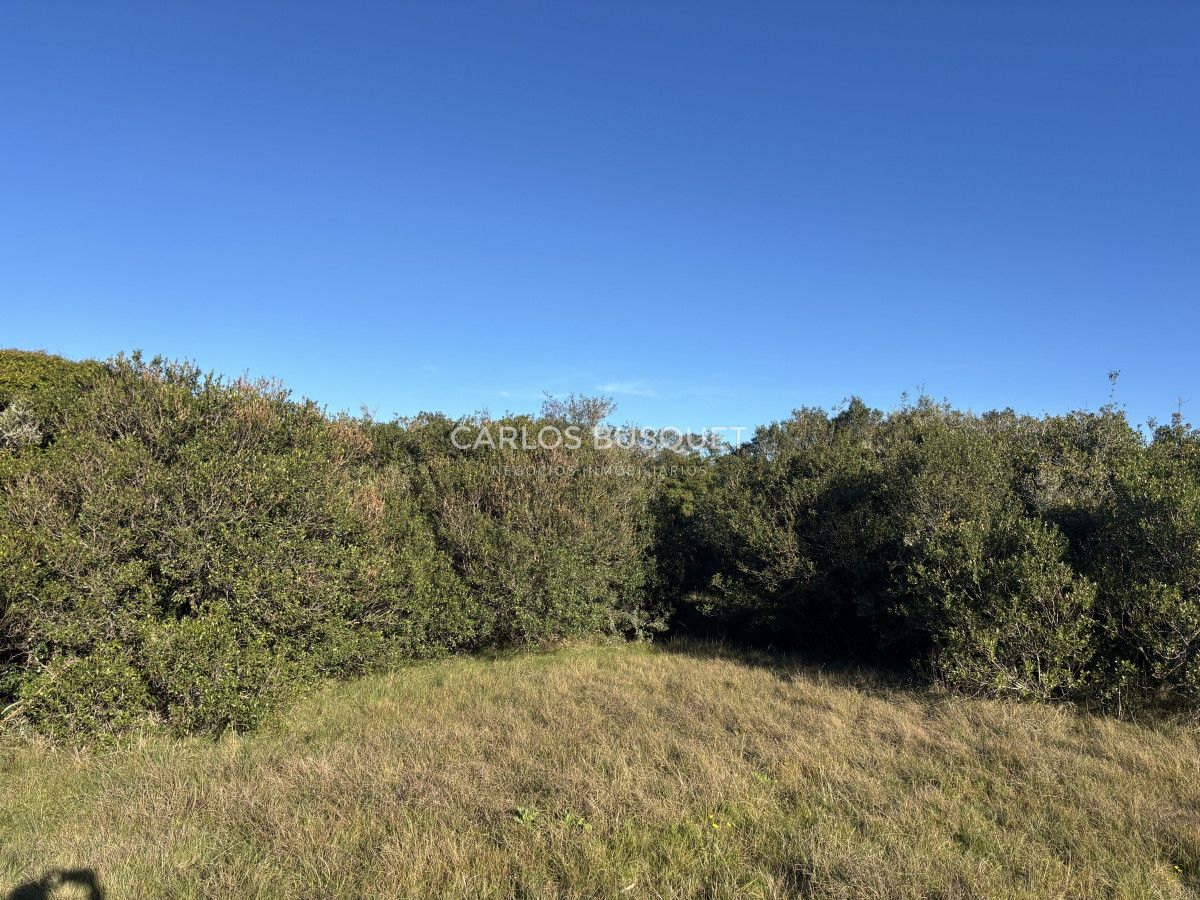 Chacra ID.1128 - Chacra de 5 has. en Jose Ignacio, Las Coronillas 