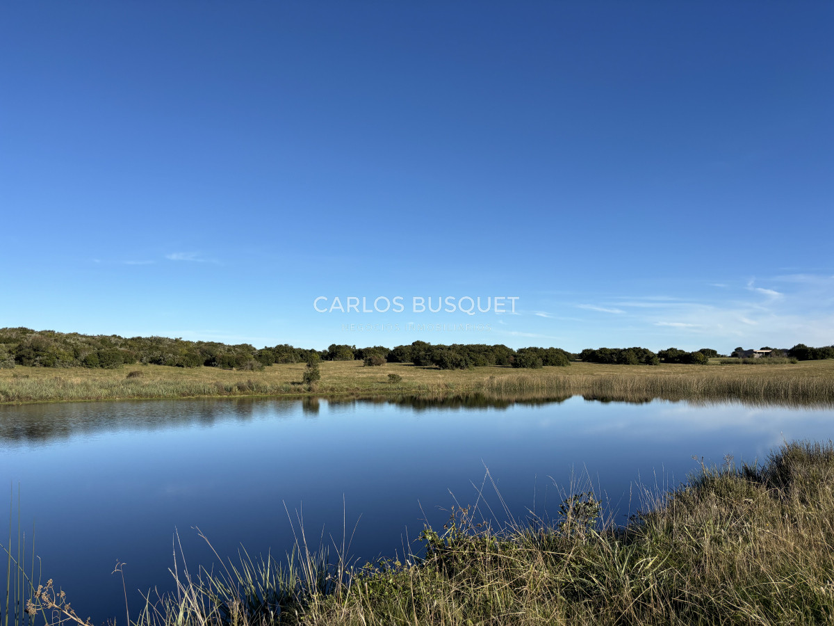 Chacra ID.1128 - Chacra de 5 has. en Jose Ignacio, Las Coronillas 