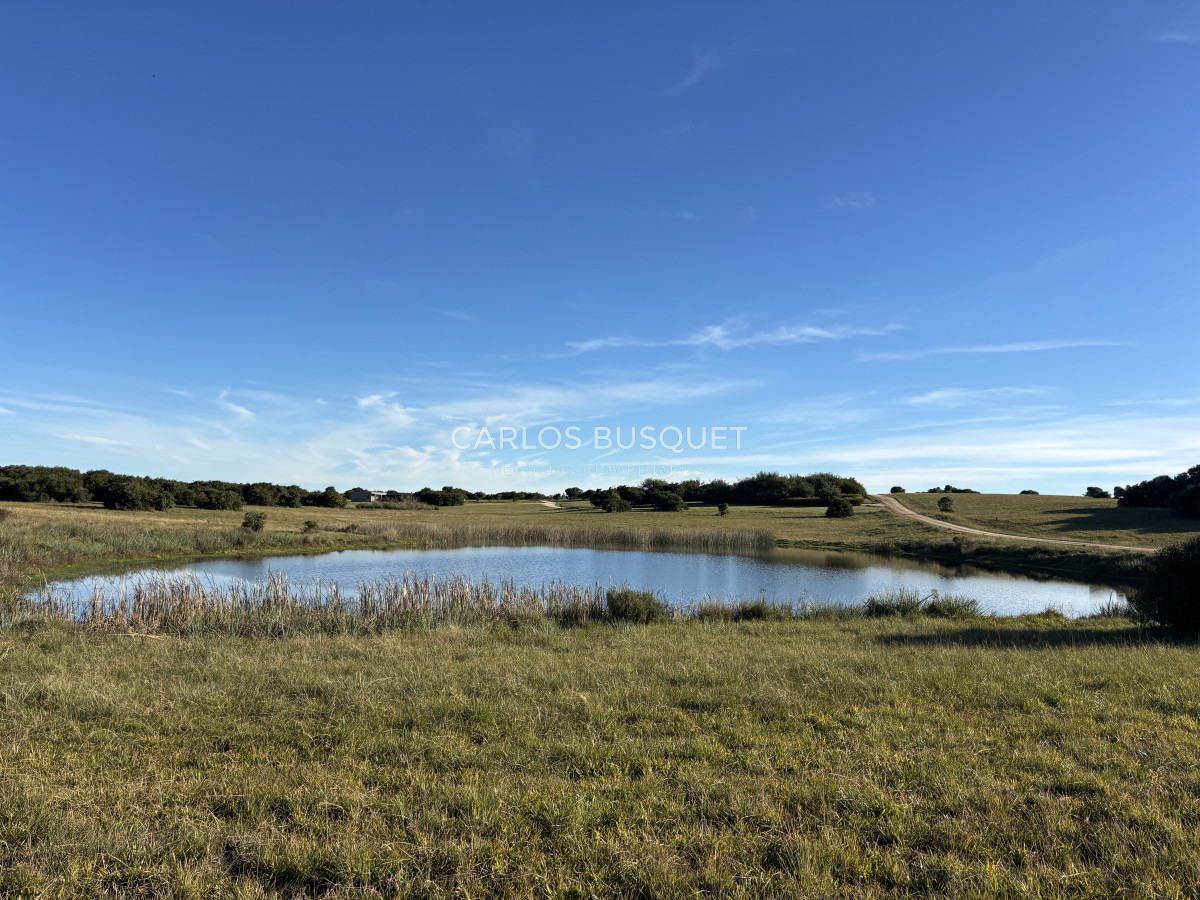 Chacra ID.1128 - Chacra de 5 has. en Jose Ignacio, Las Coronillas 