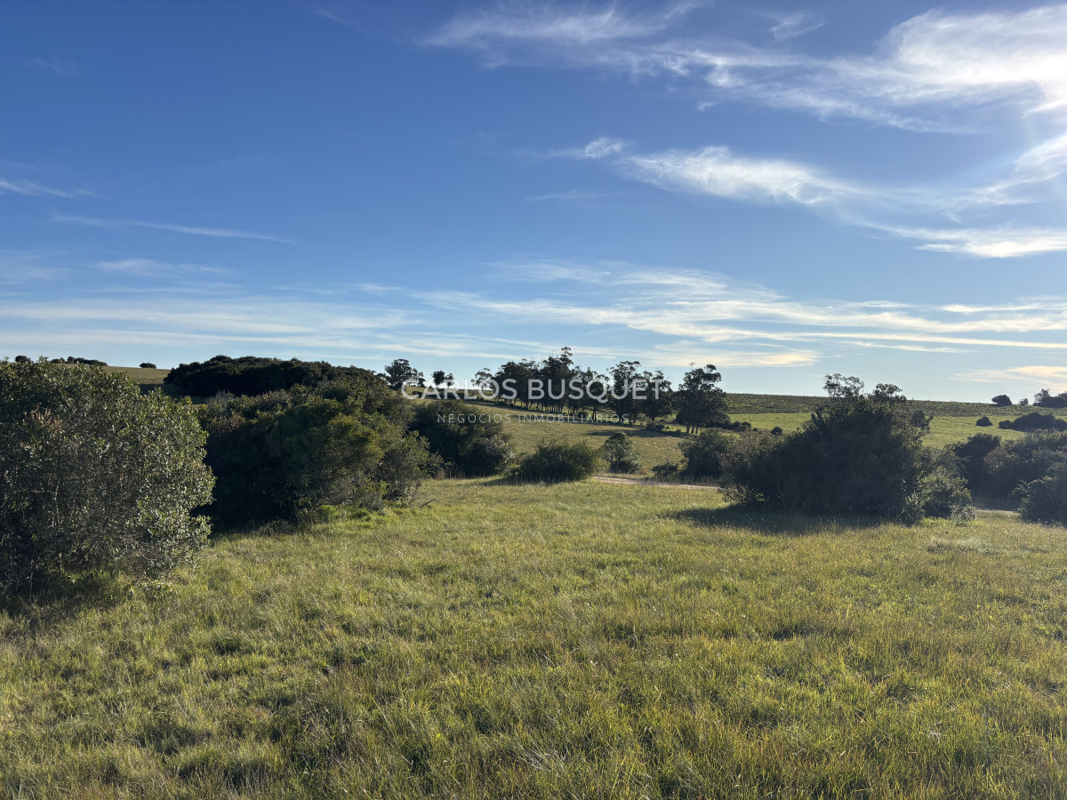 Chacra ID.1128 - Chacra de 5 has. en Jose Ignacio, Las Coronillas 