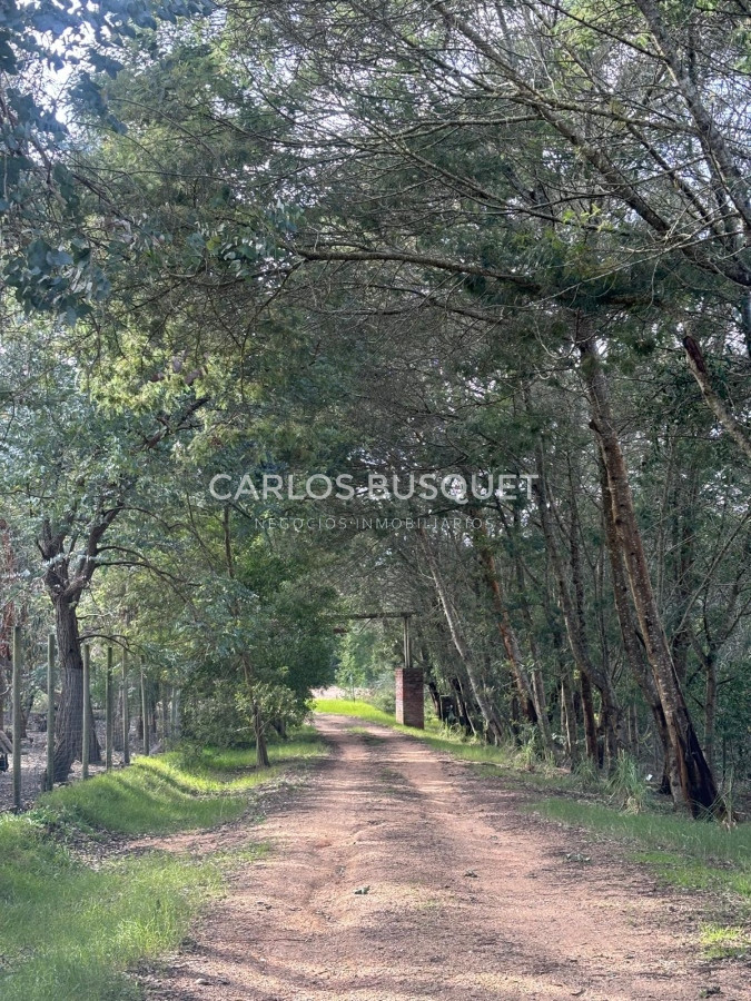 Chacra ID.667 - Chacra en venta de 1 hectárea con casa en Jose Ignacio