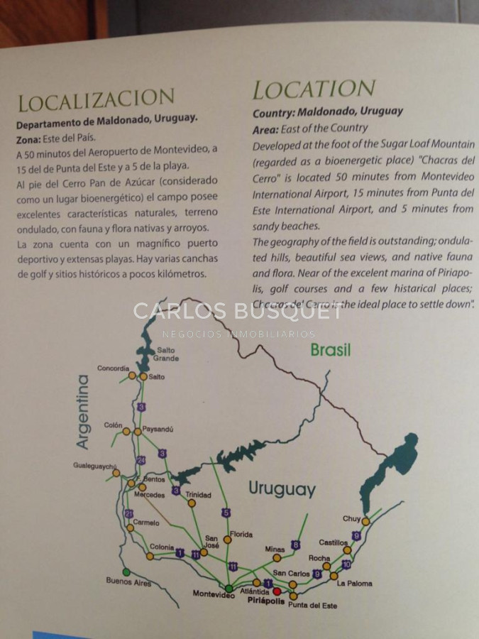 Chacra ID.1667 - Chacras del Cerro - chacras en venta de 5 has. en Pan de Azucar