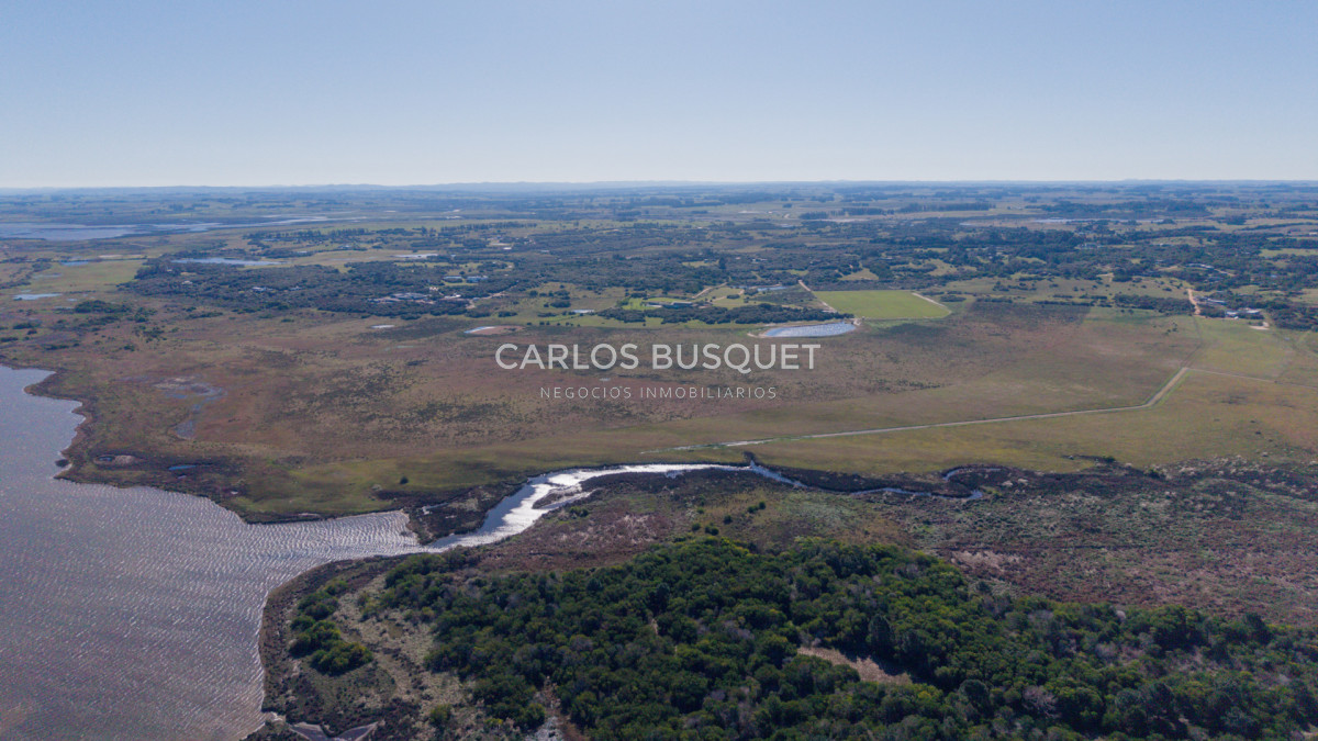 Chacra ID.1533 - Venta Chacra de 24 hectáreas en Jose Ignacio, con costa de Laguna