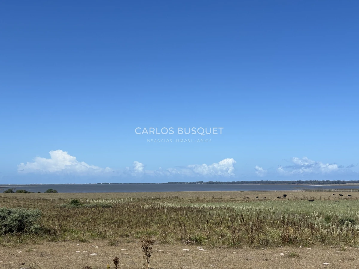 Chacra ID.1552 - Venta chacra de 30 hectáreas, en José Ignacio con costa de Laguna