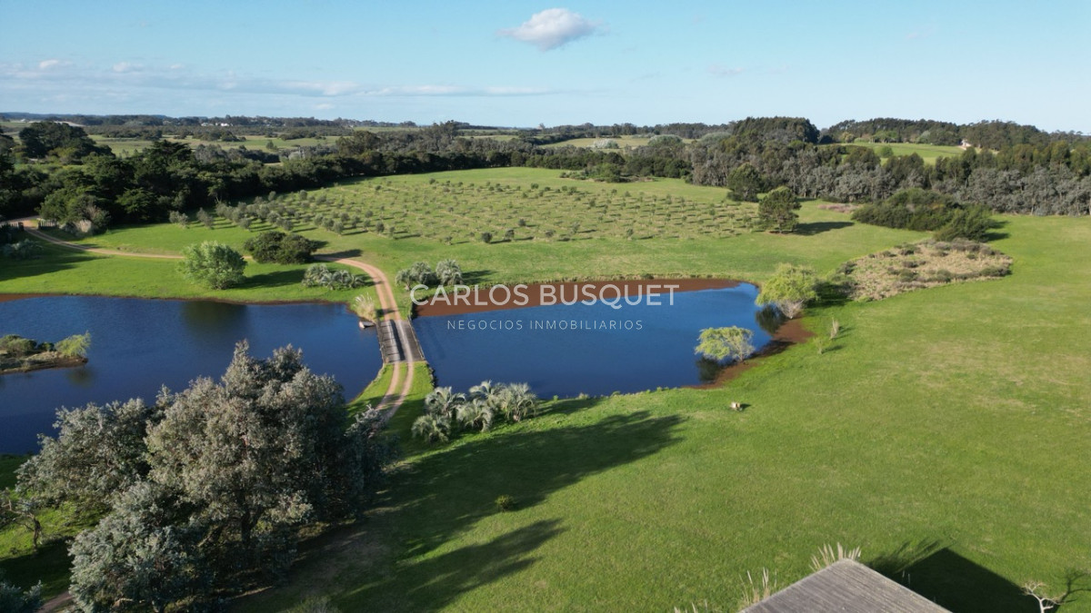 Chacra ID.783 - Chacra en venta de 3 has. con Casa de 4 dormitorios en Jose Ignacio