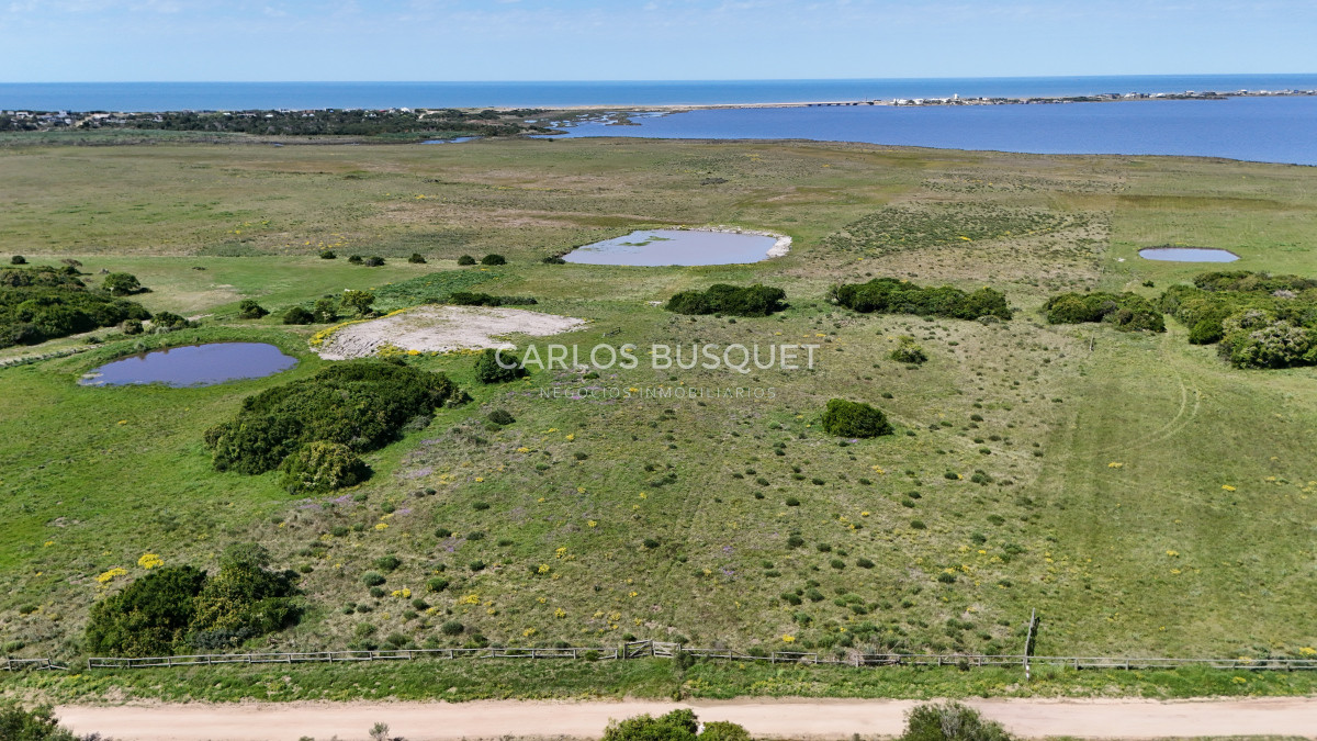 Chacra ID.531 - Chacra en venta de 5 has con costa de Laguna - Jose Ignacio 
