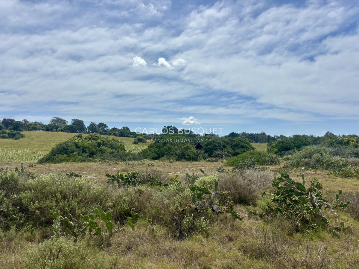 Chacra ID.1533 - Venta Chacra de 24 hectáreas en Jose Ignacio, con costa de Laguna