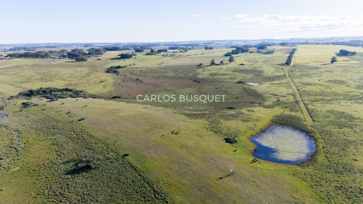 Chacra ID.1552 - Venta campo de 26 hectáreas, en José Ignacio con vista a la Laguna