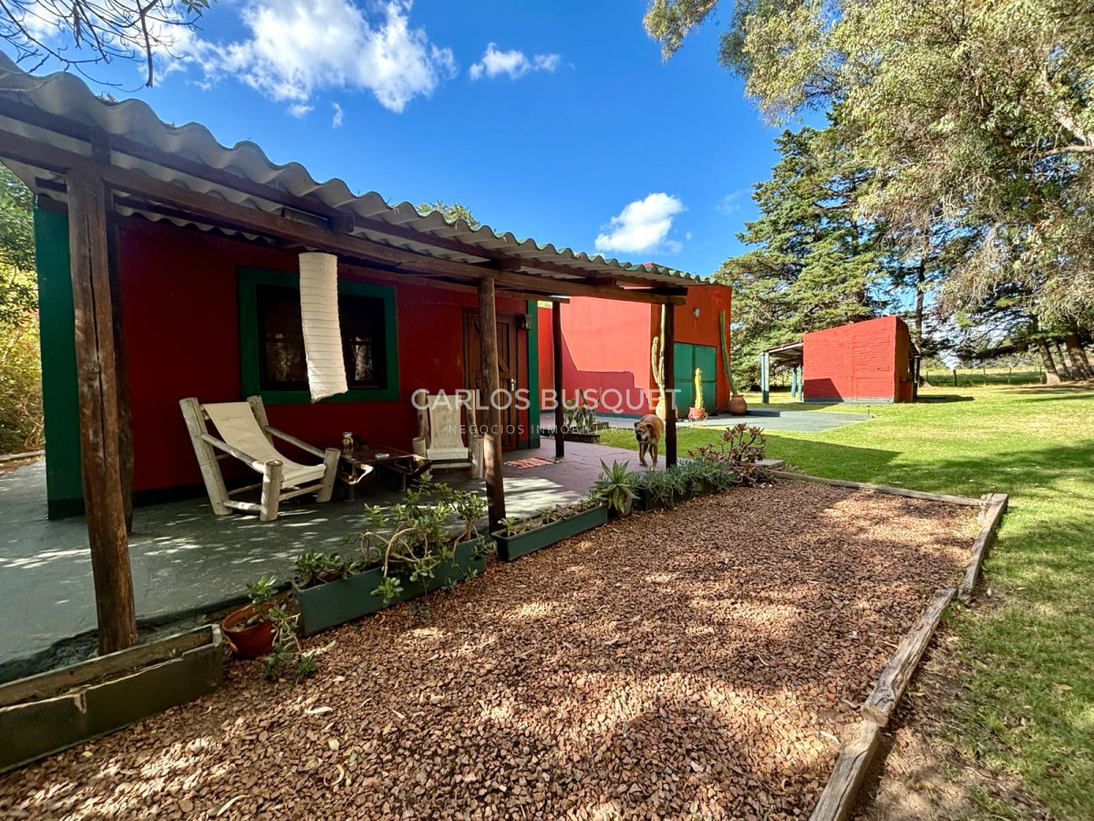Chacra ID.496 - Chacra en venta de 5 has. en Punta Ballena, Camino Lussich 